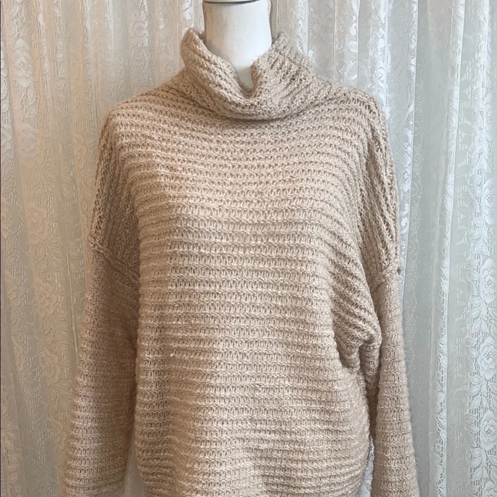 AERIE Cream Turtleneck Sweater
